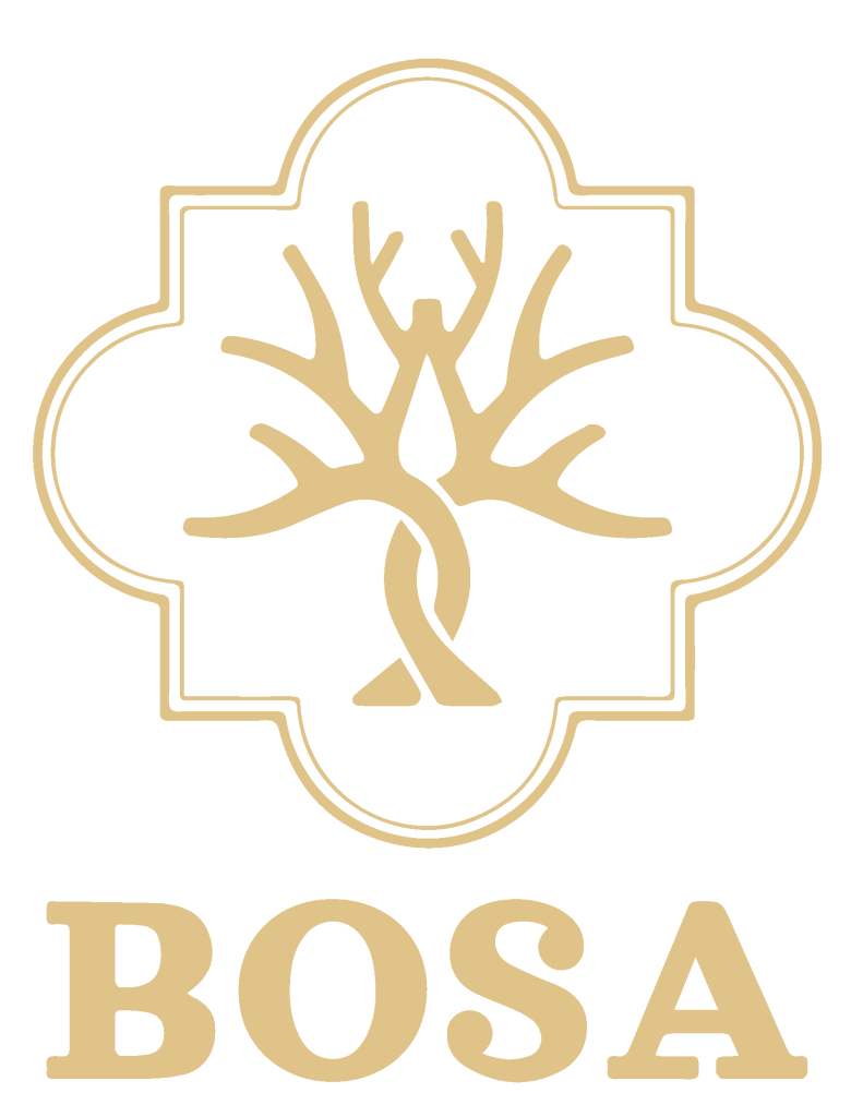 LOGO BOSA-01